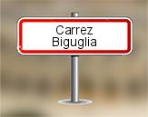 Loi Carrez à Biguglia