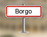 Diagnostiqueur Borgo